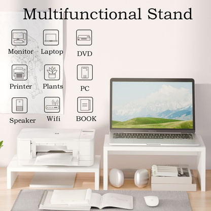 Teamix 2-Pack Monitor Stand Risers for Dual Organizer, 80 lb Capacity