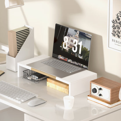 Teamix Monitor Stand Riser 20 Inch with Storage for Desk